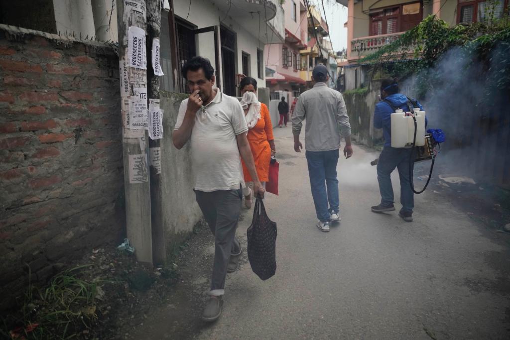 डेंगीको संक्रमण रोकथामका लागि काठमाडौँ महानगरले थाल्यो अभियान