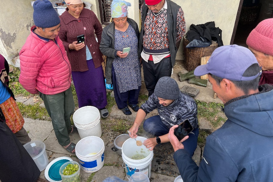 किवीबाट जाम र वाइन : फल बिक्रीबाट भन्दा दोब्बर आम्दानी