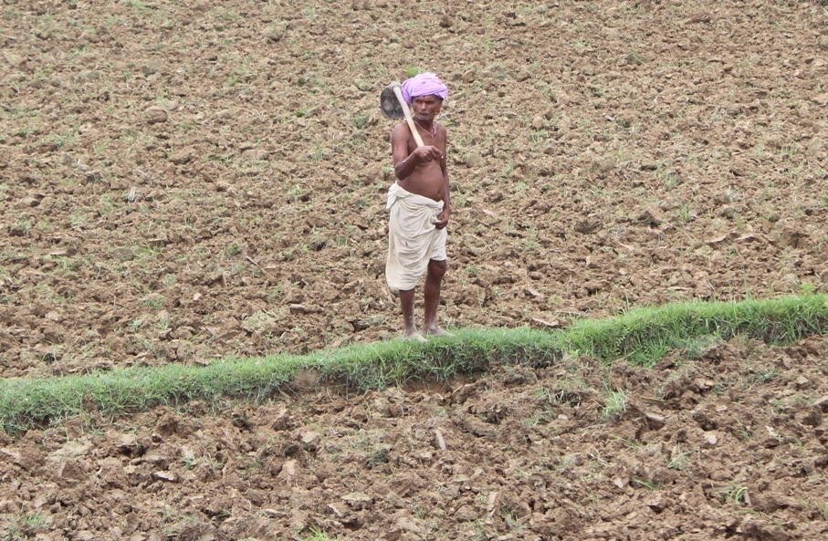 कसले आउन दिँदैन नेपालमा रासायनिक मल?