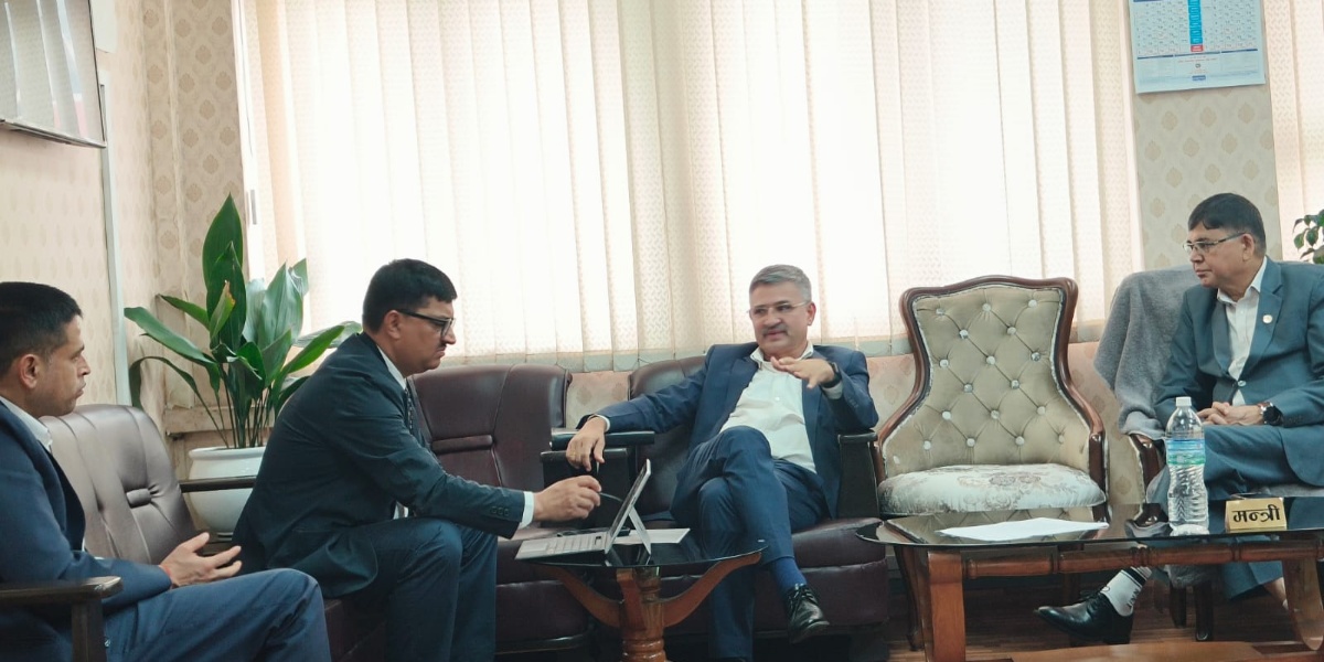 हेवा खोलाको बेलिब्रिज भाँचिएको घटनाबारे छानबिन गर्न समिति गठन