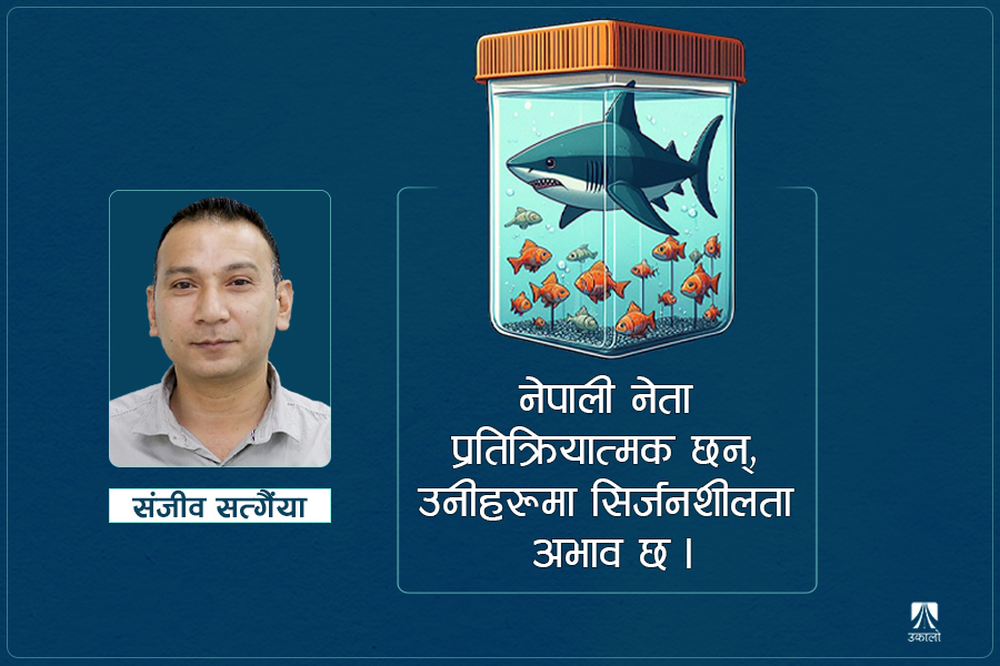 माछा ट्यांकीको सार्क, राजनीतिको आहाल