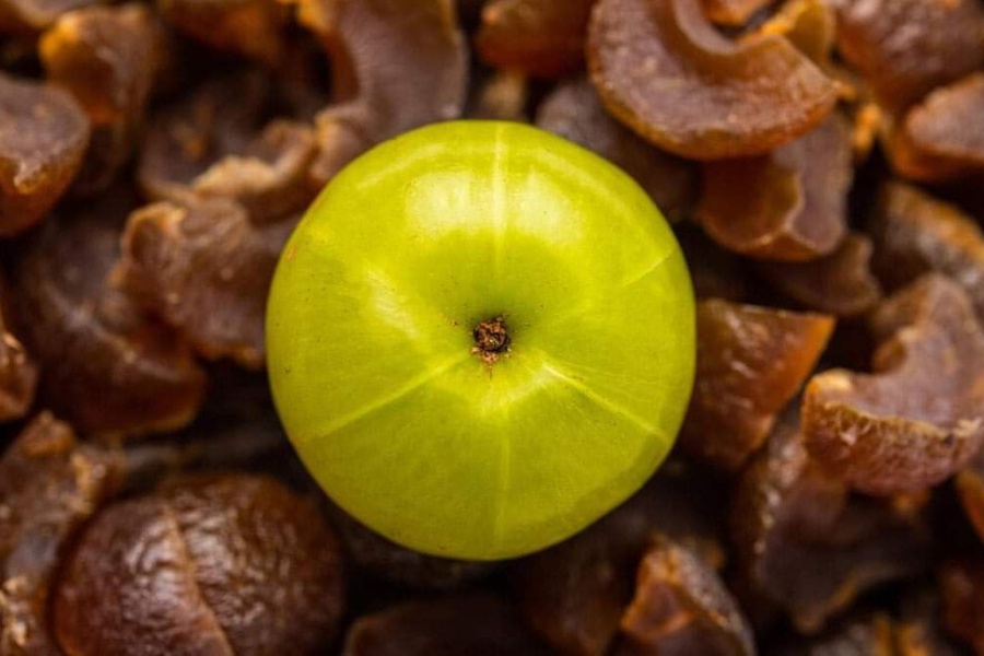 दैनिक एक दाना अमला सेवनले बढाउँछ रोग प्रतिरोधी क्षमता