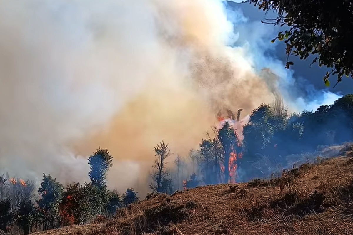 बागलुङको सामुदायिक वनमा डढेलो, जोखिममा भेडीगोठ