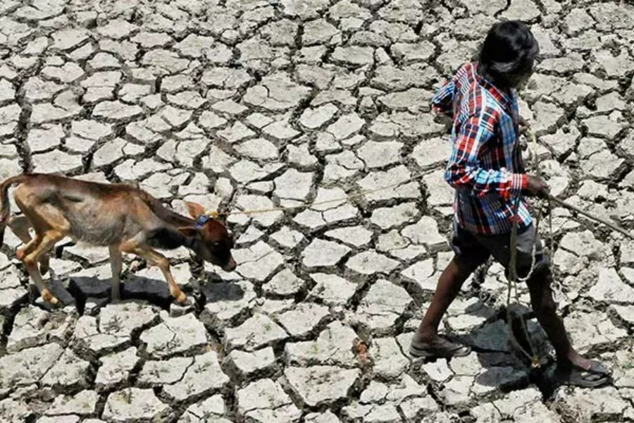 भारतमा यस वर्षपनि ‘हिटवेभ’को सम्भावना, फेब्रुअरीमा शताब्दीकै उच्च तापक्रम