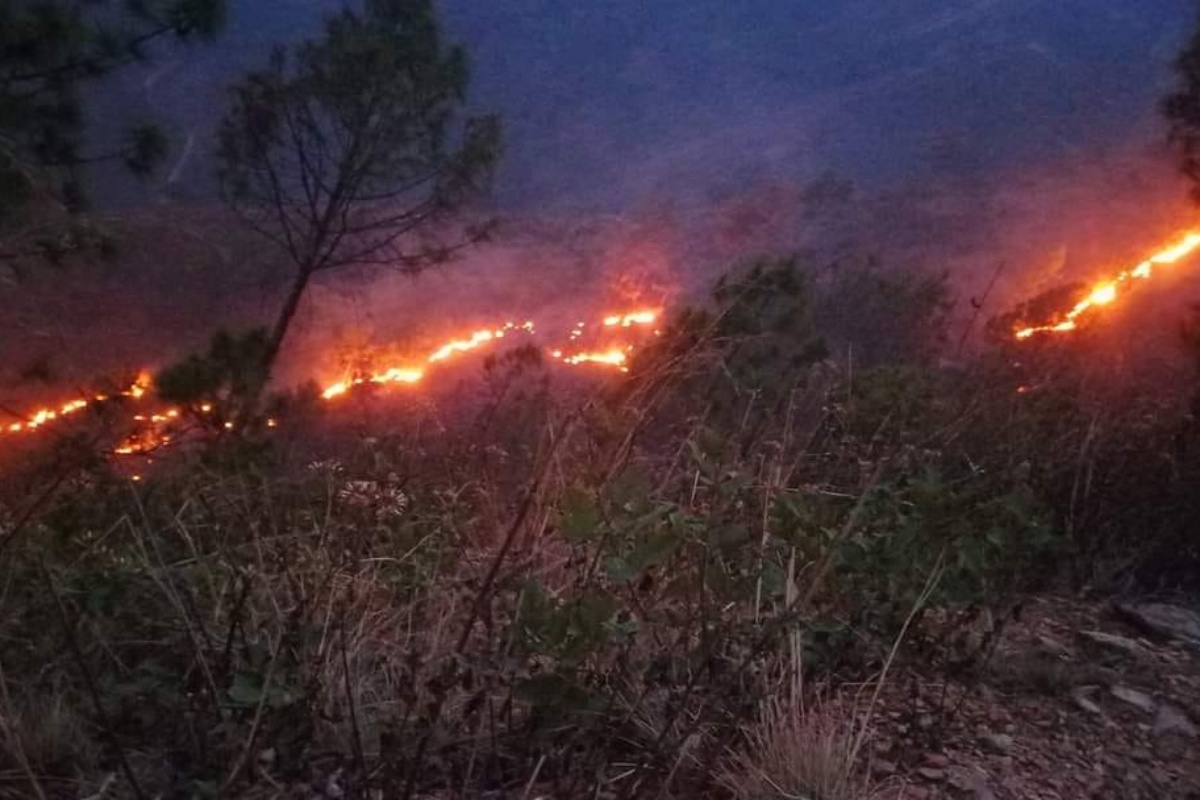 डढेलोले रामेछापको ४ हजार ५०० हेक्टर वन सखाप