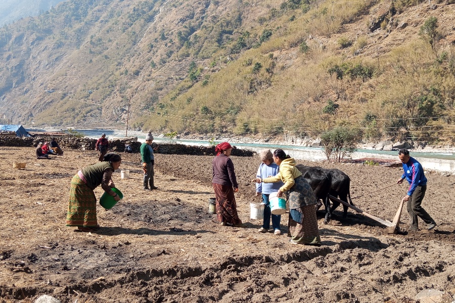 सामूहिक खेतीबाट आत्मनिर्भर बन्दै महिला