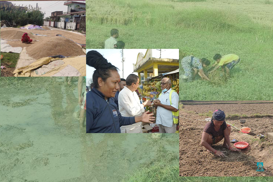 स्थलगत : गाउँमा चुनावी रौनक कम, दलहरूप्रतिको वितृष्णा धेरै