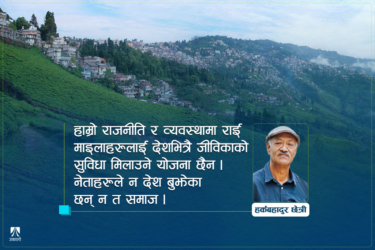 चियाकमानमा राई माइला–माइलीहरू