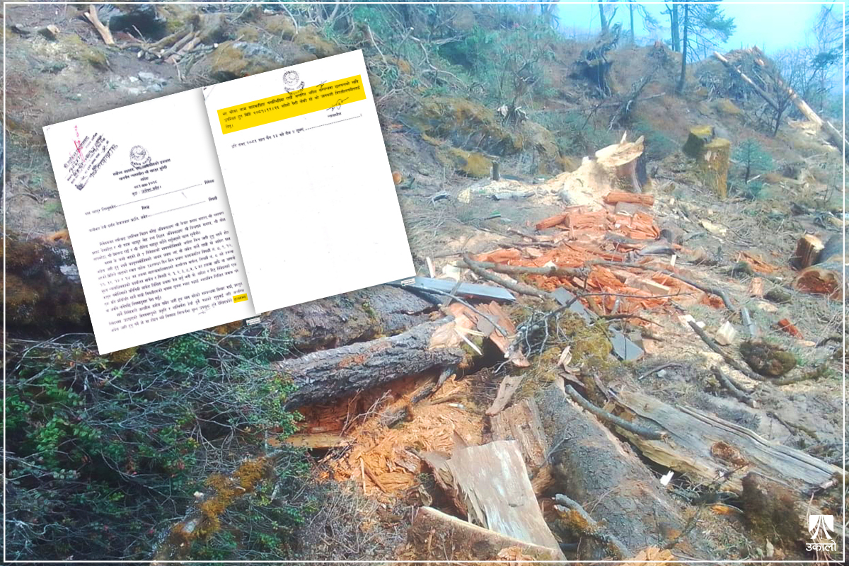 अदालतले दिएको रोक्का आदेशविपरीत पाथीभरामा निर्माण कार्य जारी