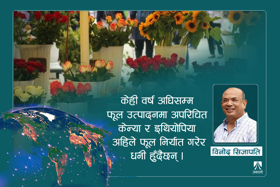 विश्वव्यापीकरण प्रक्रियामा नेपाल : अब हामी चुक्नुहुन्न 