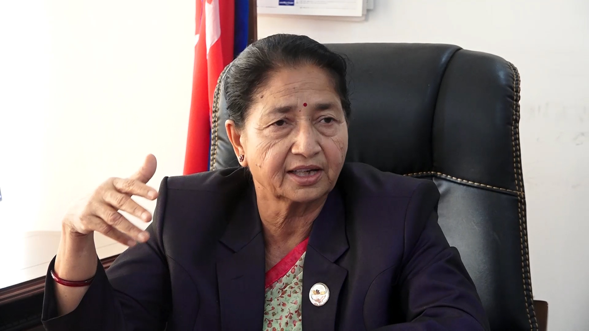 विद्यादेवी भण्डारी एमालेको मात्रै राष्ट्रपति हुनुभयो : उपाध्यक्ष अर्याल