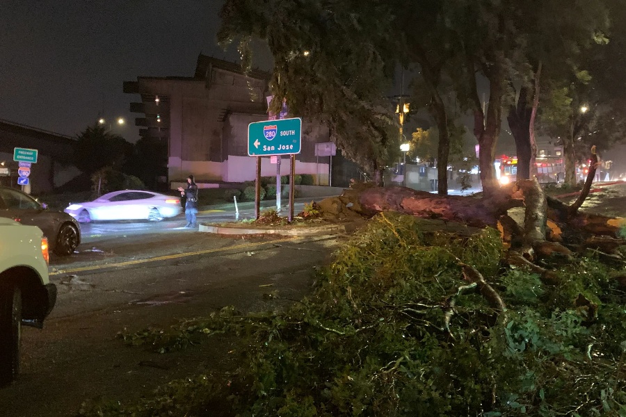 सान फ्रान्सिस्कोमा आँधीका कारण २ जनाको मृत्यु