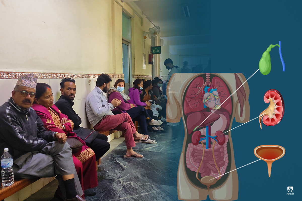 बढ्दैछन् पत्थरीका बिरामी, कसरी जोगिने?