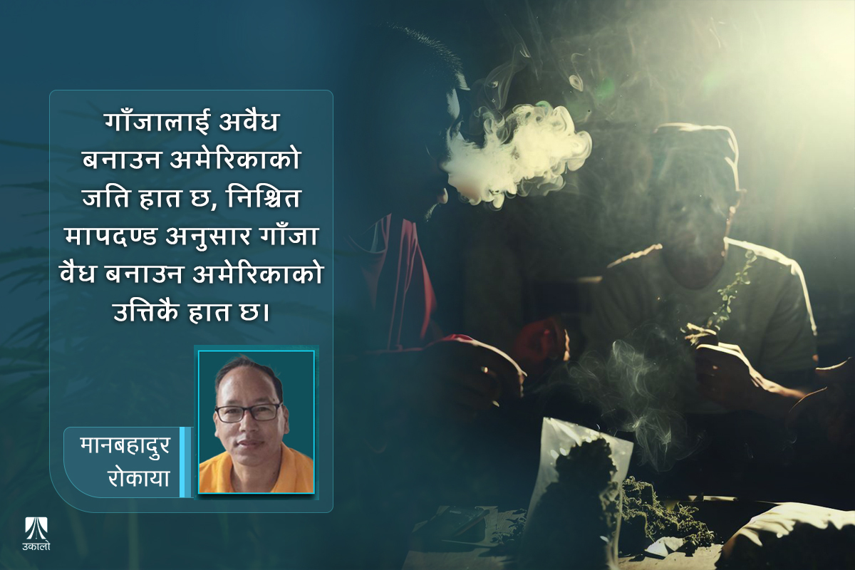 गाँजा वैधानिकता बहस: देशलाई ‘नार्को स्टेट’ होइन, ‘हेम्प स्टेट’ बनाऊँ