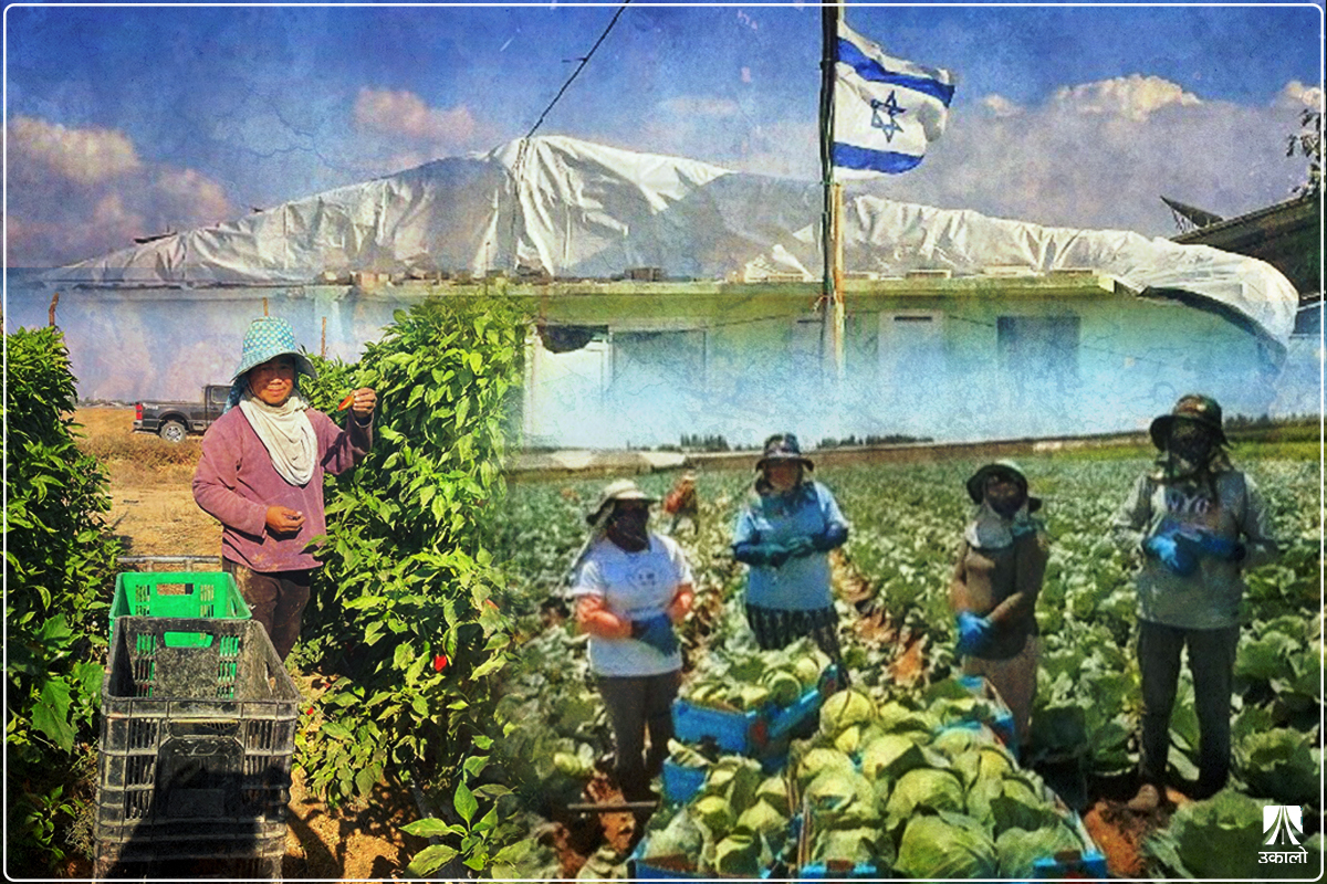 इजरायलमा सधैँ युद्धको जोखिम, तर फर्कन चाहँदैनन् नेपाली