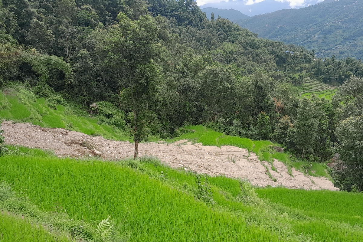 खोटाङमा पहिरोले धानबालीसहित खेत बगाएपछि किसान चिन्तित
