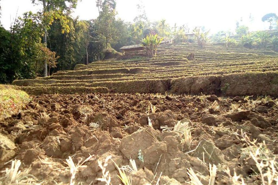 माटोमा बढ्दै अम्लीयपन, घट्दै उर्वराशक्ति