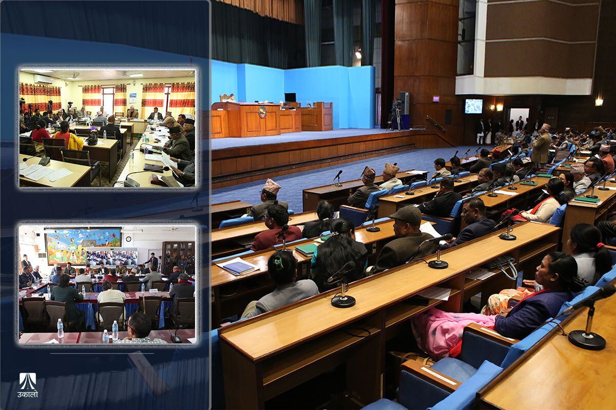 कानून बनाउने सकसः संसद्‍मा कसले अड्काउँछ विधेयक?