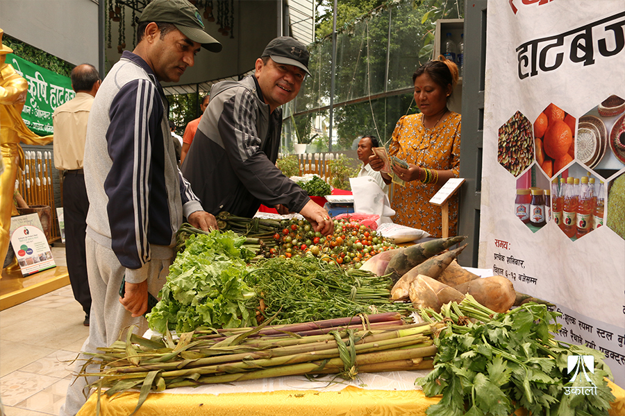 शहरिया ग्राहकलाई रैथाने उत्पादनतर्फ आकर्षित गर्ने कृषि हाटबजार [भिडियो]