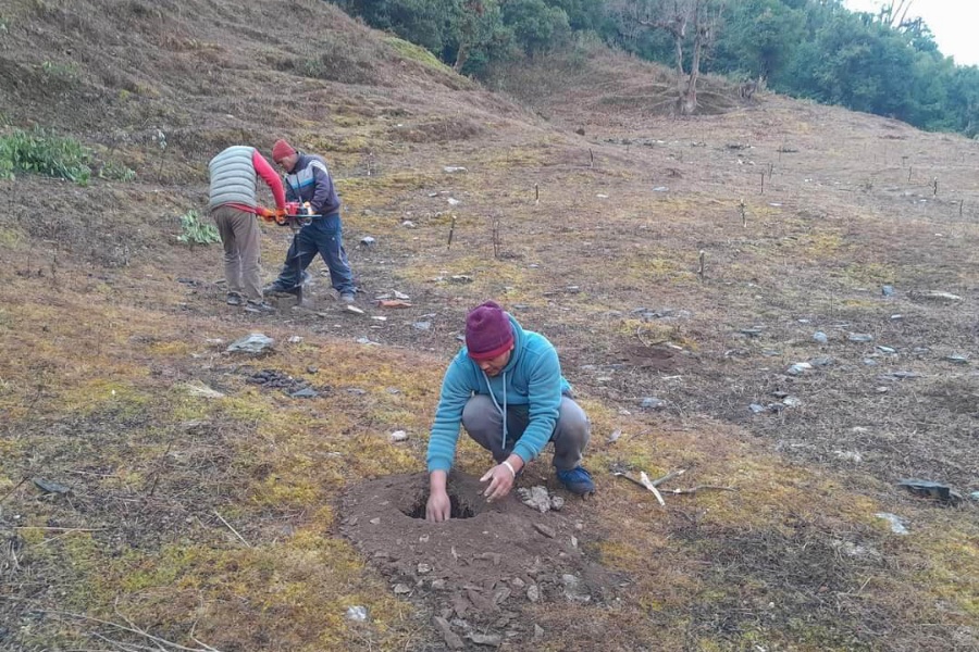 बसाइँसराइ रोक्ने पालिकाको योजना, बाँझिएका जमिनमा फलफूल खेती