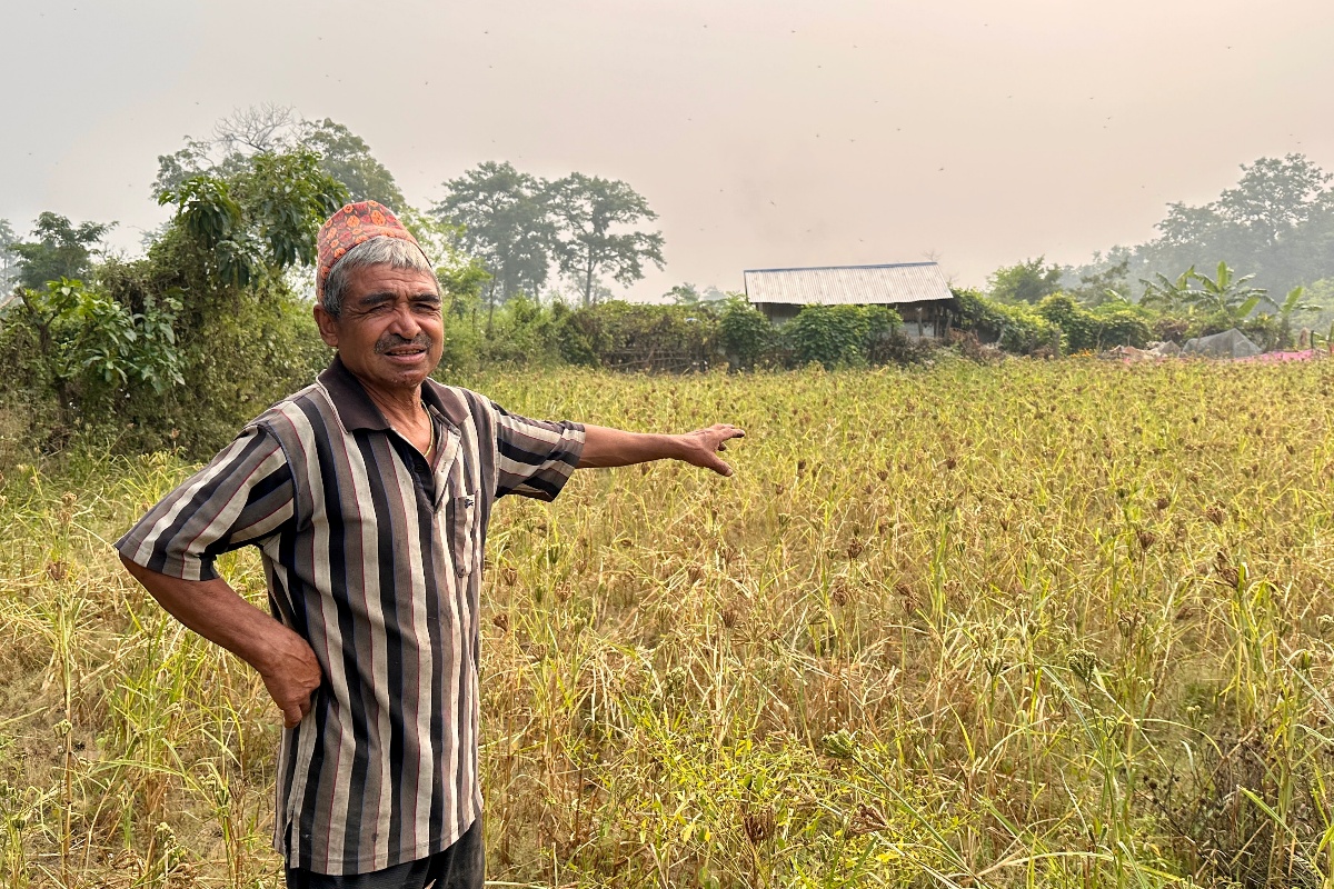 कोदोखेतीले धानेको खोरियागाउँ