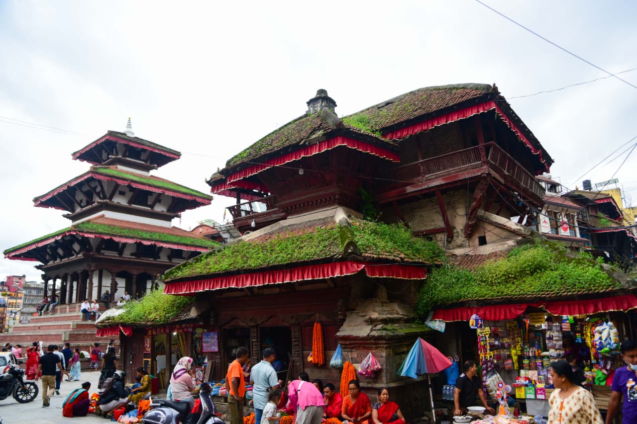 हनुमानढोका दरबार क्षेत्रका मन्दिरहरूमाथि पलाएको झार (तस्वीरहरू)