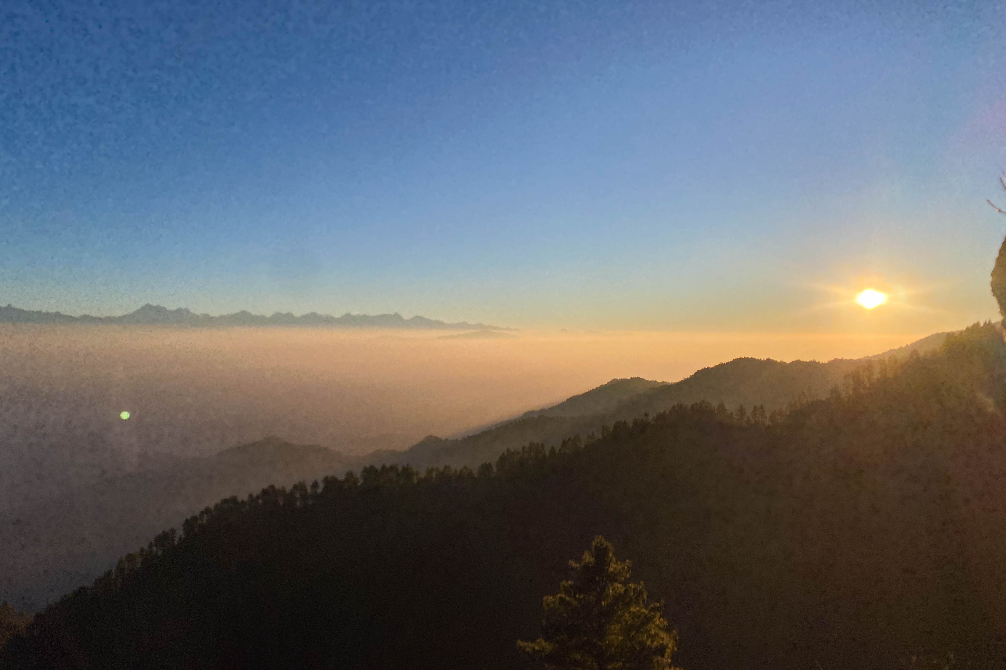 null