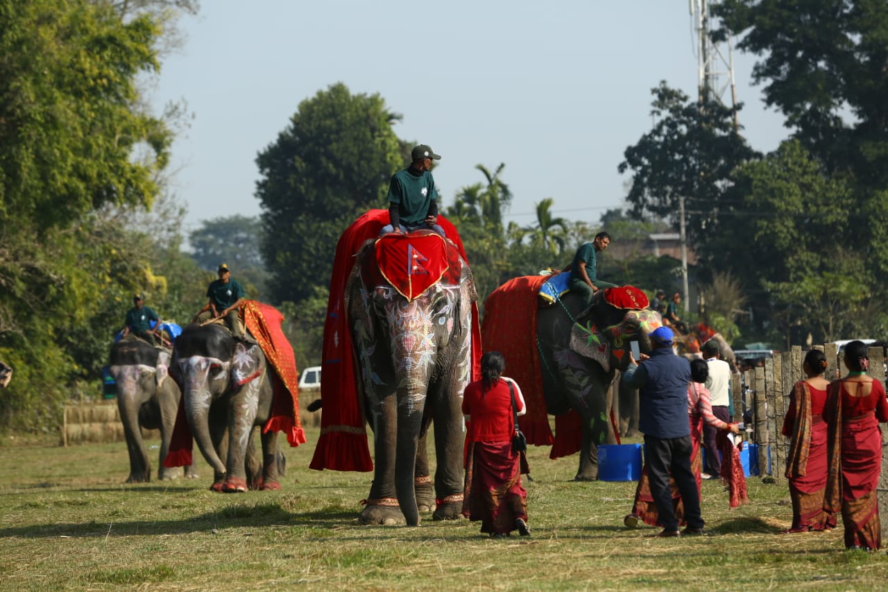 सौराहामा हात्ती तथा पर्यटन महोत्सव (तस्वीरहरू)