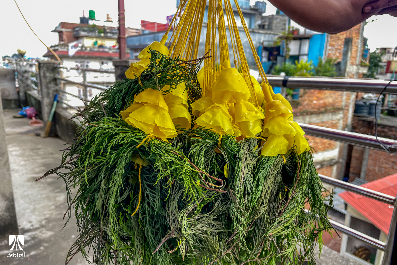 तस्वीर: प्रबिता/उकालो