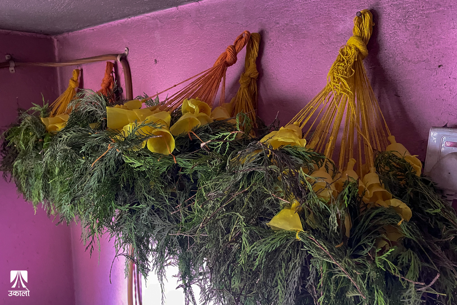 तस्वीर: प्रबिता/उकालो