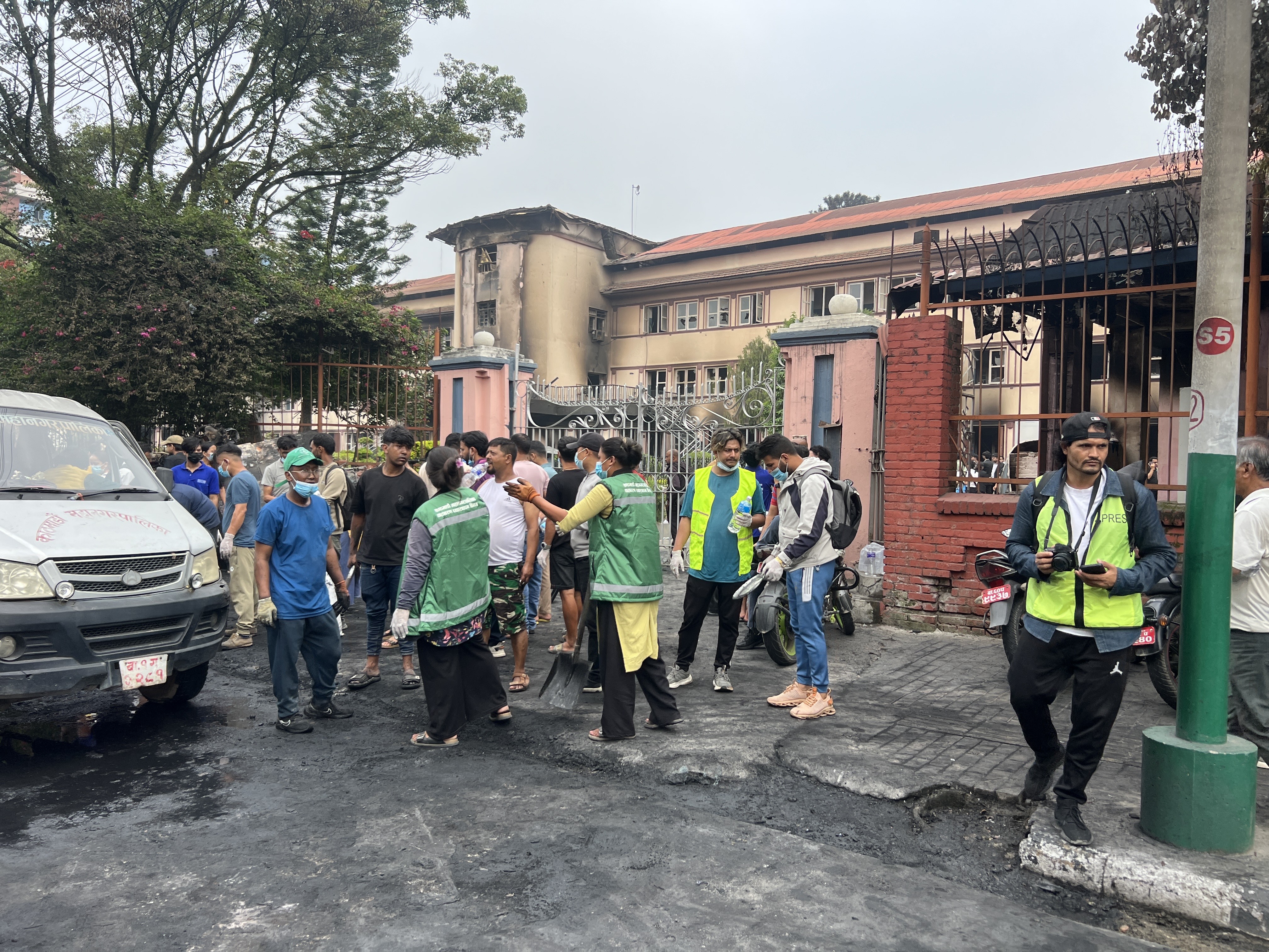 सरसफाइमा ‘जेनजी’