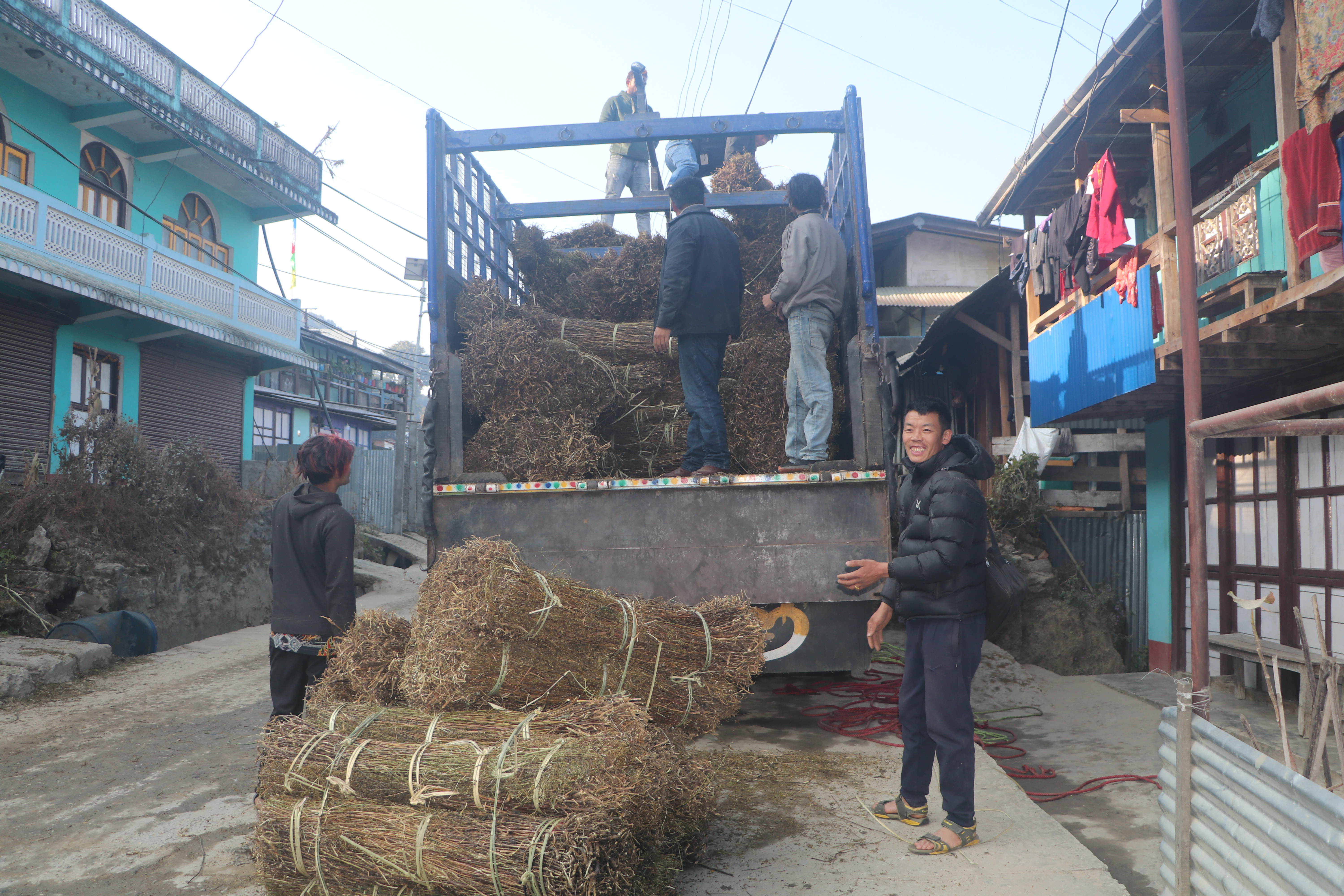 चिराइतोको कारोबार ठप्प, विस्थापित हुँदै किसान
