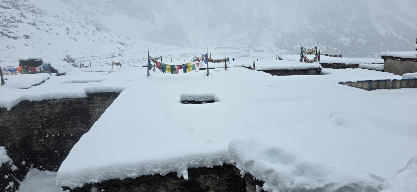 हुम्लाको लिमीमा शुक्रबारदेखि हिमपात, जनजीवन प्रभावित
