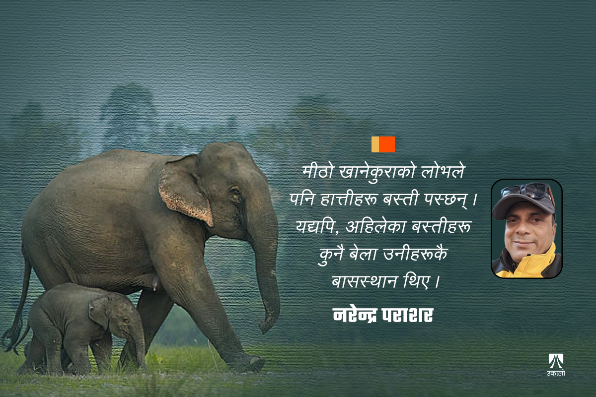 मानिसलाई हात्ती र हात्तीलाई मानिसबाट कसरी बचाउने?