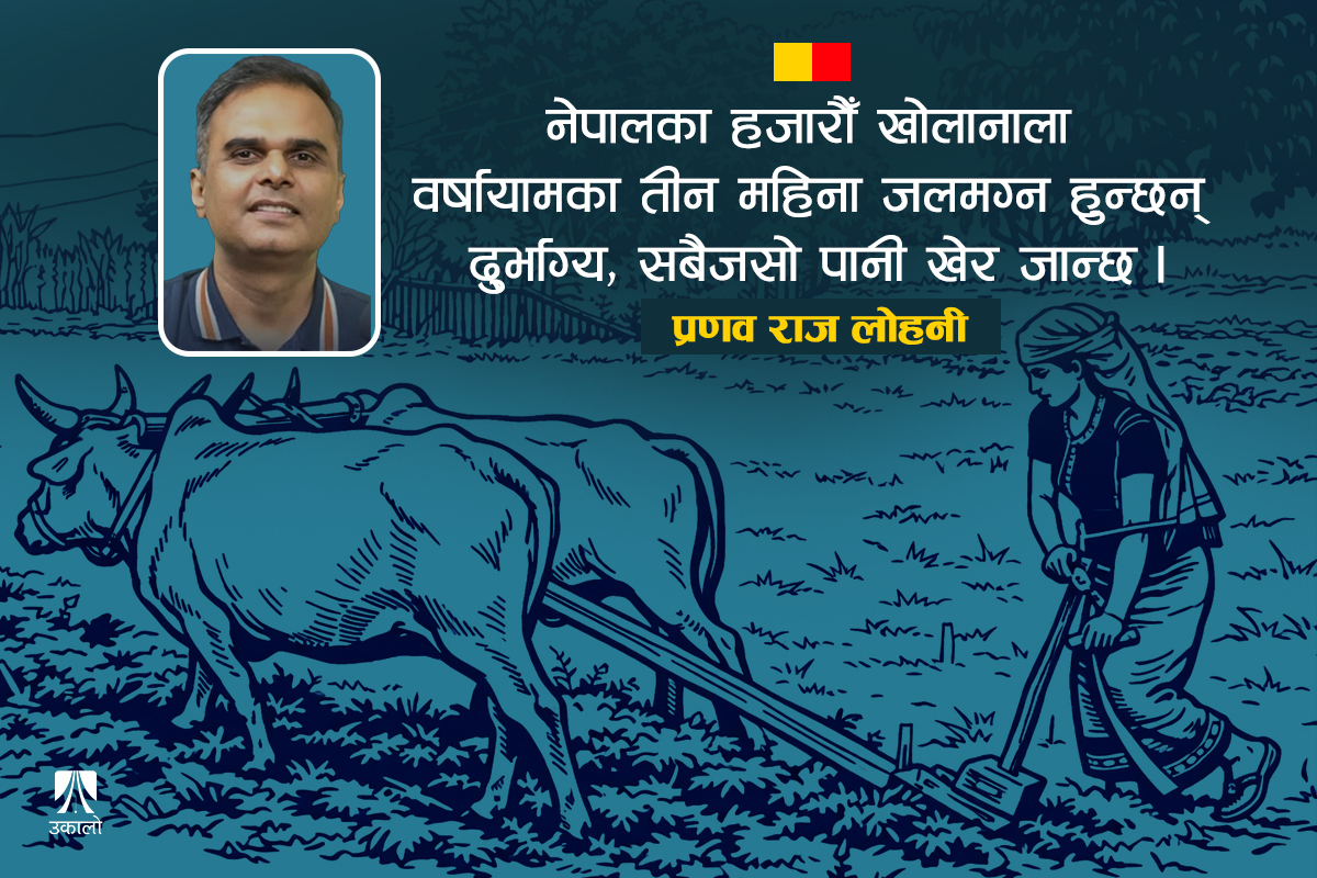 कृषिमा कसरी फड्को मार्ने?