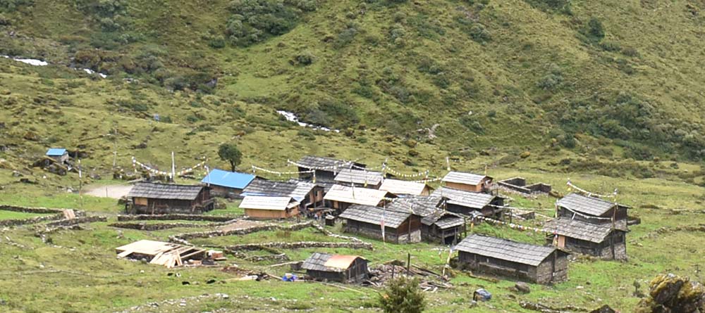 ताप्लेजुङका हिमाली बस्ती सुनसान, जाडो छल्न औलतर्फ झर्दै स्थानीय