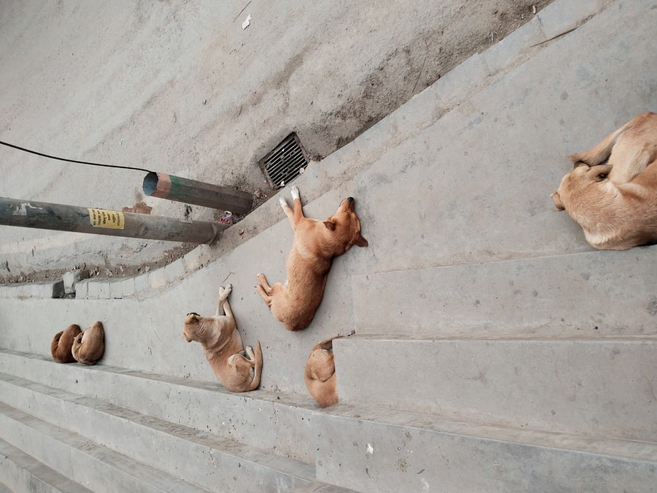 तस्वीर: बेदानन्द जोशी