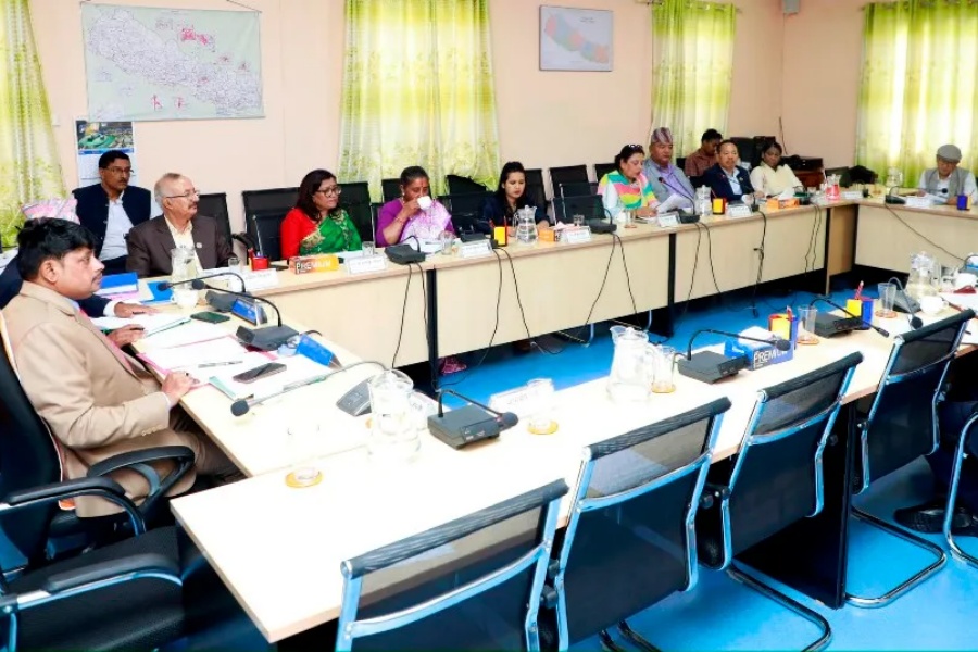 विद्युतीय व्यापार विधेयकमा १९ वटा संशोधन प्रस्ताव