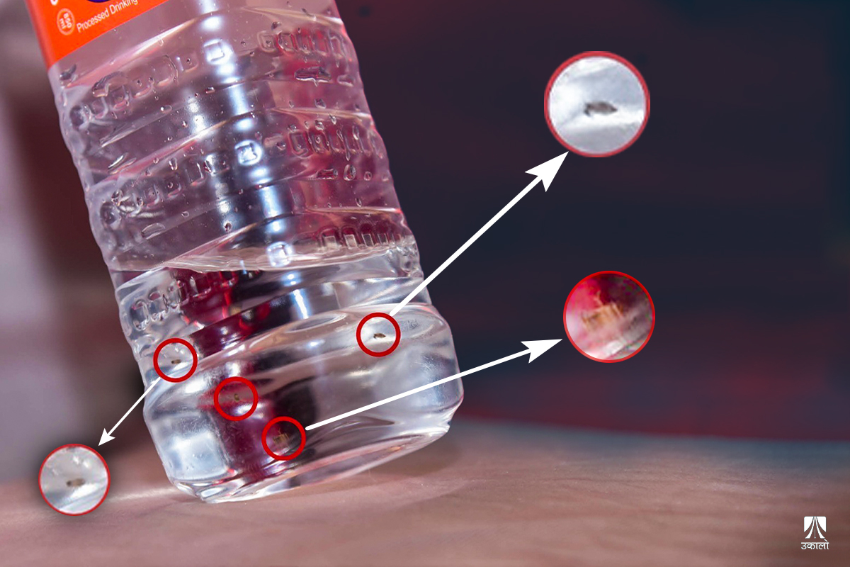 काठमाडौँमा प्रशोधित पानी नै दूषित, भेटिन्छ कीरा र लेदो