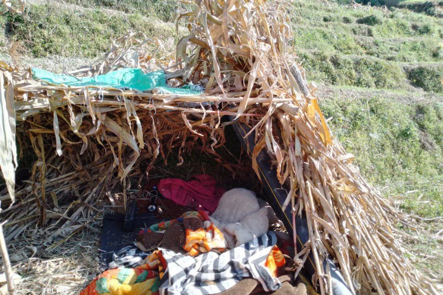 भूकम्पपीडितले अझै पाएनन् त्रिपाल, डेरा बसेकालाई बढी समस्या