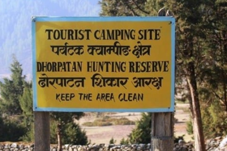 ढोरपाटनमा ५ पाँच वर्षयता बँदेलको सिकार शून्य, प्रक्रिया सहज बनाउन माग