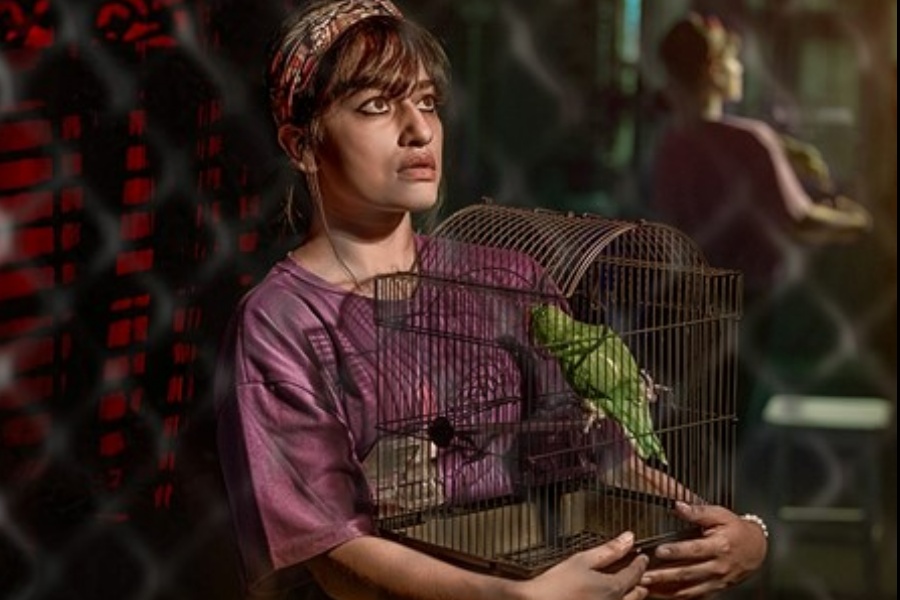 ‘बहाव’को पहिलो झलक सार्वजनिक