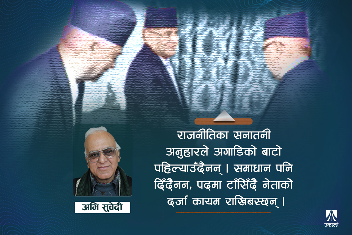 राजनीति गर्नेका सनातनी आकार र गतिशील इतिहास