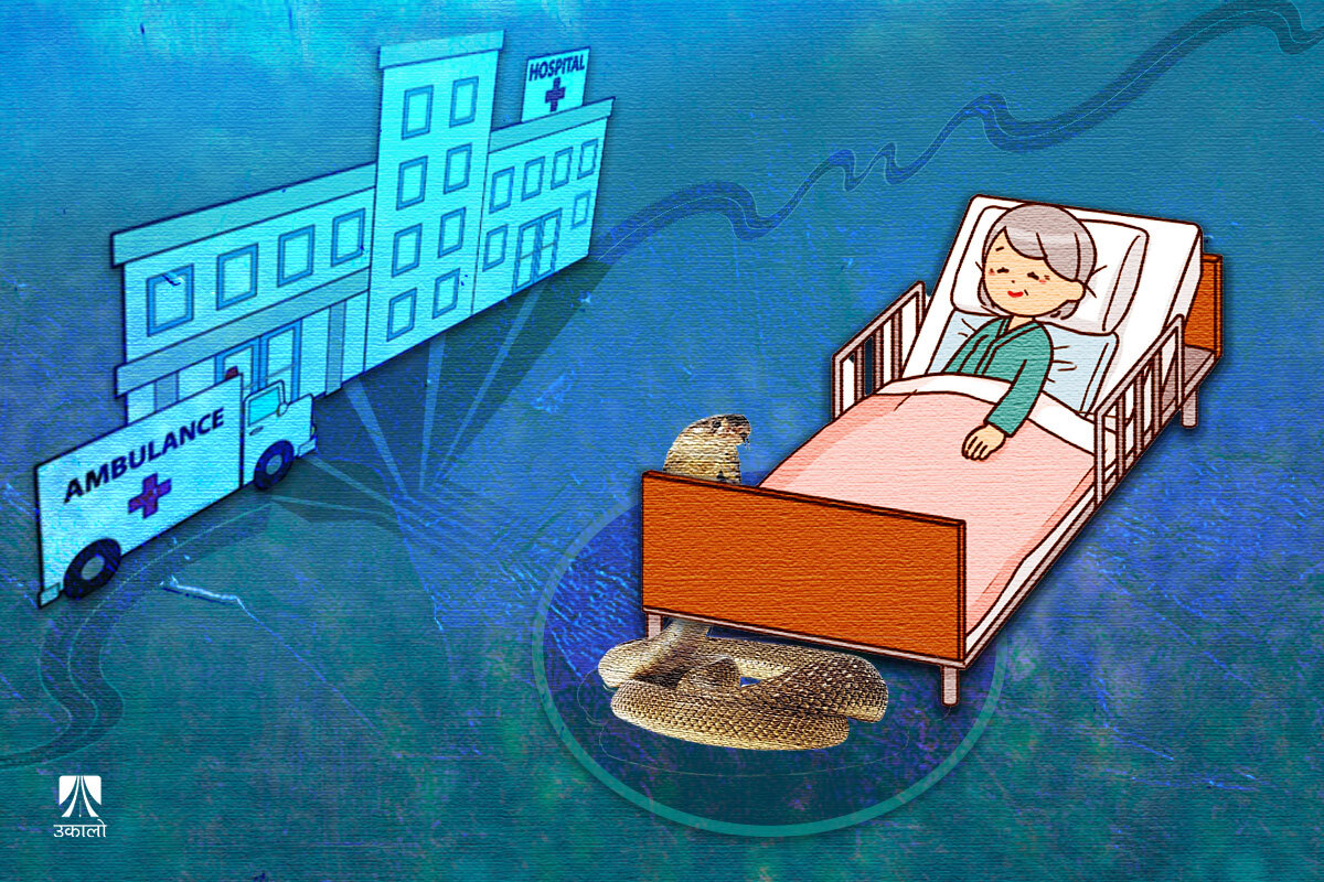 सर्पदंशका बिरामीः अस्पताल टाढा, मृत्यु नजिकै