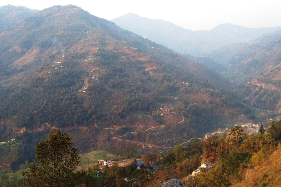 बसाइँसराइले रित्तिदै जैमिनीका गाउँ