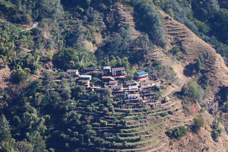 बालबालिका र बुढापाकाले धानेको गाउँ रायडाँडा