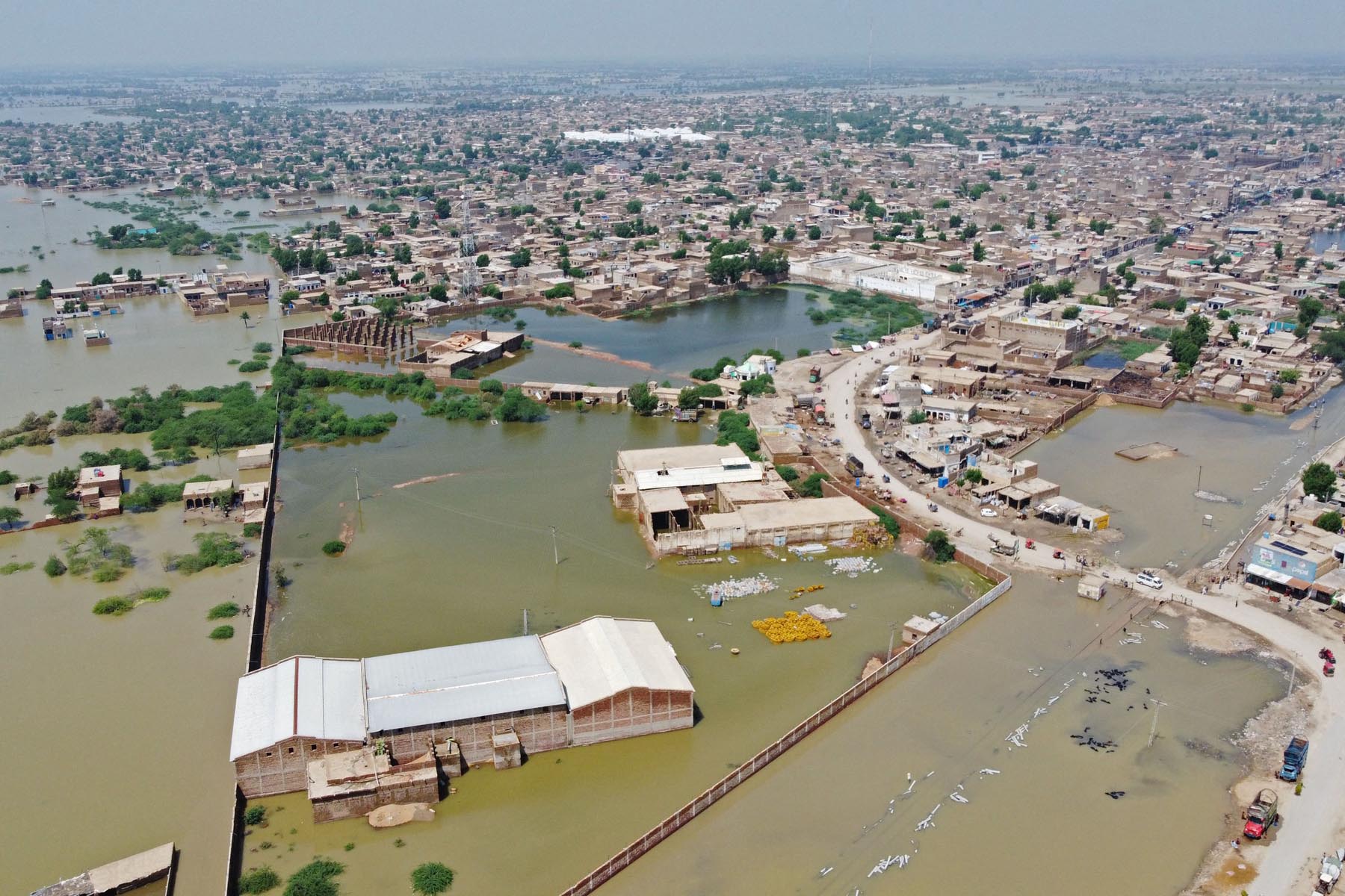 पाकिस्तानमा बाढीः १३ सयभन्दा बढीको मृत्यु, अर्बौँ डलर बराबर क्षति