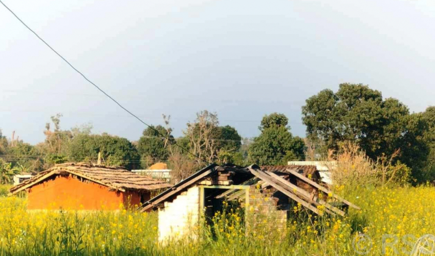 आश्वासन होइन, समस्या समाधानको आधार खोज्दै बादी समुदाय