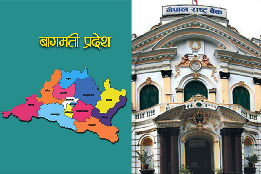 काठमाडौँमा कौसी खेती र कृषिसहित दर्जन क्षेत्रमा उद्यमको सम्भावना