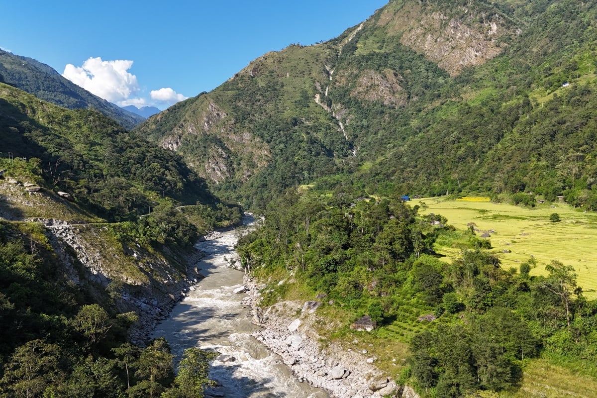 माथिल्लो अरुण आयोजना निर्माण गर्न काटियो २ हजारभन्दा बढी रूख
